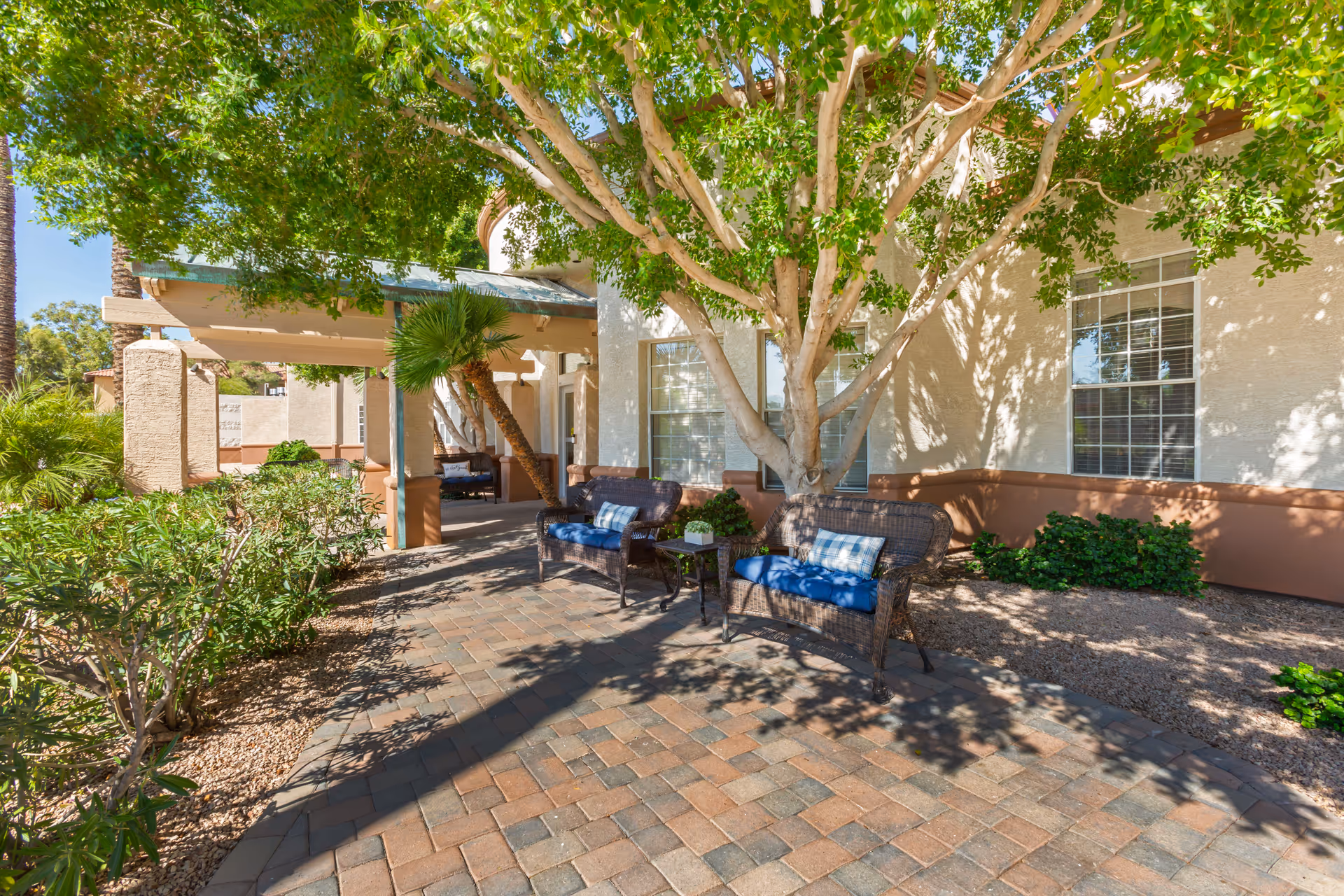 Outdoor patio area at Brookdale Baywood with two wicker chairs featuring blue cushions and plaid pillows, a small table with a plant, surrounded by trees and shrubs, and a building with windows in the background.