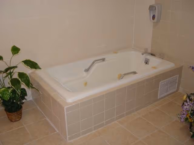 A beige tiled bathroom with a built-in white bathtub featuring two metal grab bars. There is a soap dispenser mounted on the wall above the tub. A potted green plant is placed on the floor to the left of the tub, and a floral arrangement is partially visible on the right side.