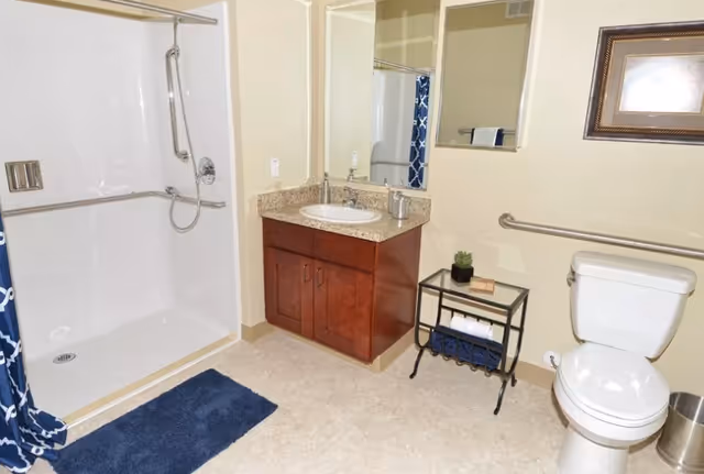 A clean and accessible bathroom featuring a walk-in shower with grab bars and a handheld showerhead, a wooden vanity with a granite countertop and sink, a mirror above the sink, a toilet with a grab bar beside it, a small glass side table holding a plant and towels, and a blue bath mat on the floor.