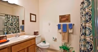 A bathroom with a wooden vanity and sink on the left, a toilet in the center, and a shower with a patterned curtain on the right. There are towels hanging on the wall above the toilet and a small plant on the floor near the toilet.