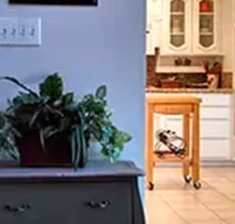 Indoor view with a potted plant on a cabinet in the foreground and a kitchen with a rolling island cart and white cabinets in the background.