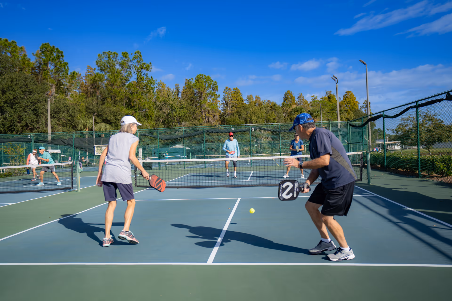 Four elderly people playing pickleball on an outdoor court surrounded by green fencing and trees under a clear blue sky.