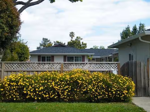 Residential building with a wooden fence and yellow blooming bushes in front