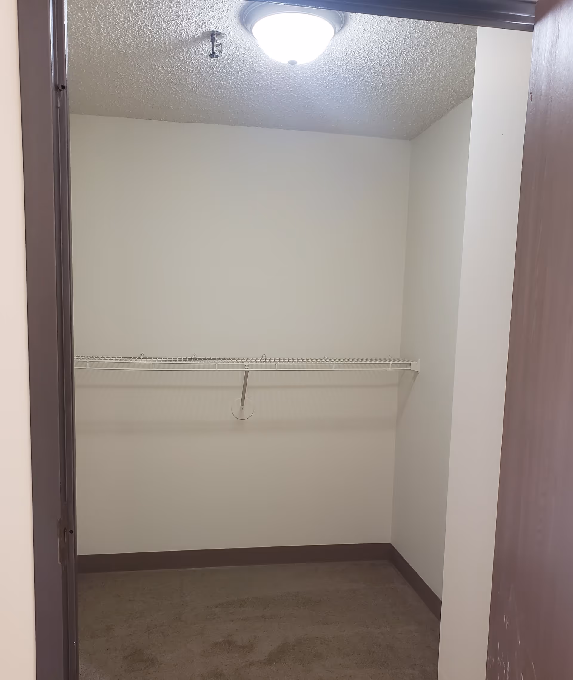 Empty closet with beige carpet, white walls, a single white wire shelf mounted on the back wall, and a ceiling light fixture.