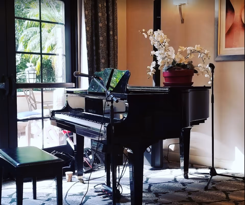 Black grand piano with a potted white orchid and microphone stand beside it in a sunlit room by glass doors.