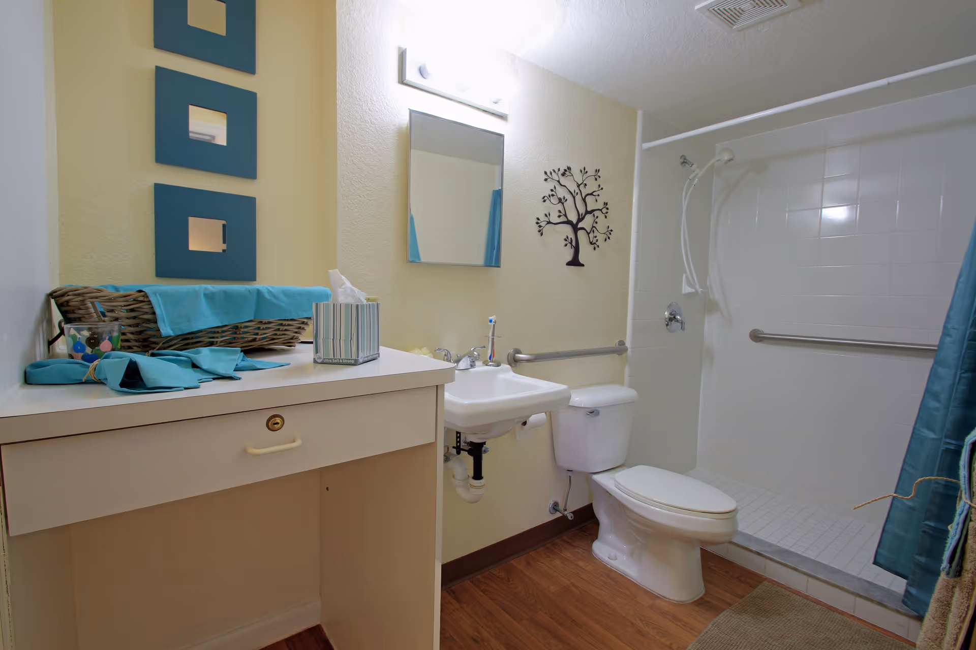 Accessible bathroom with a sink, toilet, walk-in shower with grab bars, and a vanity topped with a basket and decorative items.