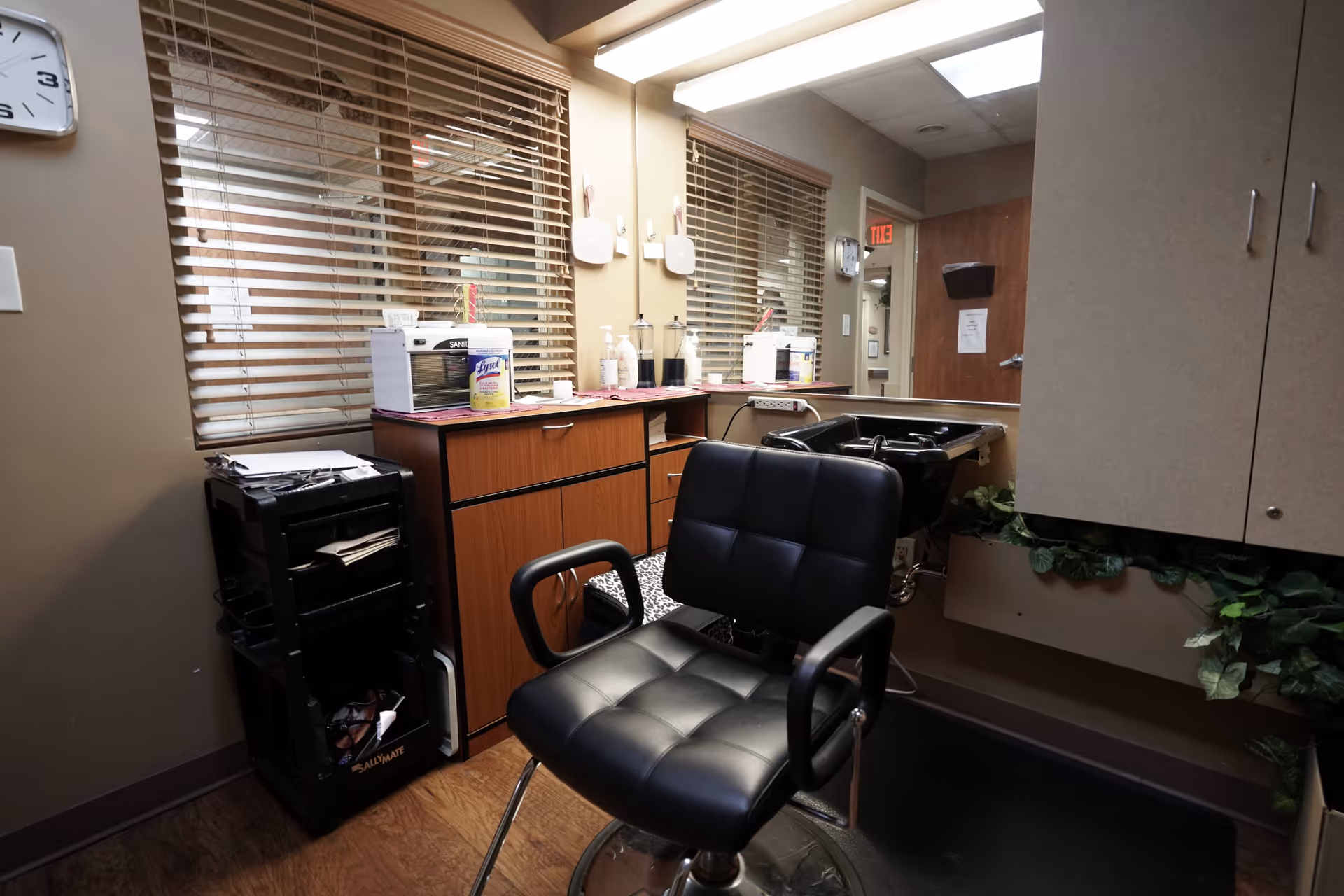 Interior of a small salon or grooming area with a black salon chair in front of a sink for washing hair. There are wooden cabinets, a countertop with various items including a canister of Lysol wipes, and a window with horizontal blinds. The room has beige walls and a clock on the wall showing the time as 3:10.