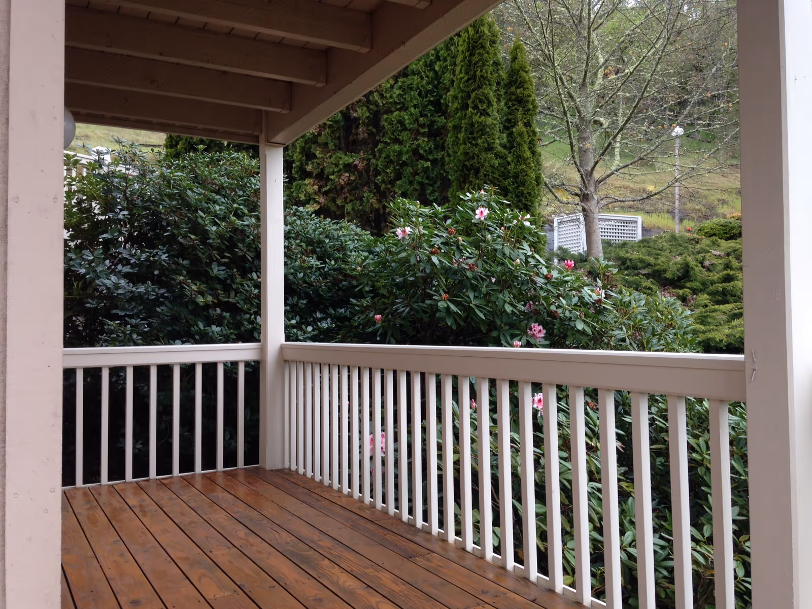 Covered wooden porch with white railing overlooking green shrubs and pink flowering bushes.