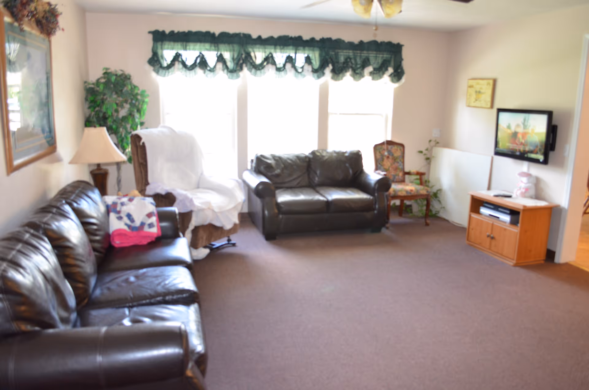 A senior living facility common area with two dark leather sofas, a white-covered recliner, a floral upholstered chair, a wooden TV stand with a flat-screen TV mounted on the wall, a floor lamp, a potted plant, and windows with green valances letting in natural light.