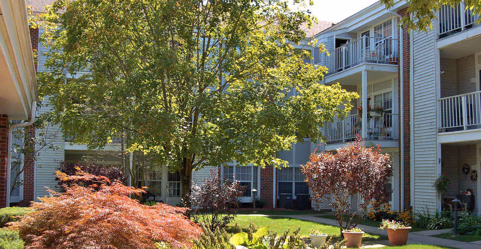 Outdoor courtyard area of a senior living facility with green grass, various trees and shrubs, potted plants, and a multi-story building with balconies surrounding the courtyard.