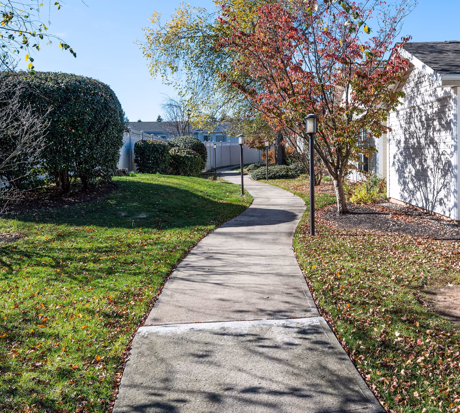 A winding concrete pathway lined with lamp posts runs through a landscaped outdoor area with green grass, bushes, and trees with autumn-colored leaves next to a white building under a clear blue sky.