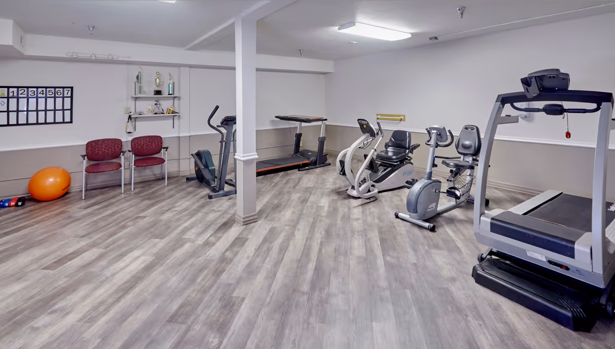 A fitness room with treadmills, recumbent and upright exercise bikes, chairs, an exercise ball, and trophies on shelves.