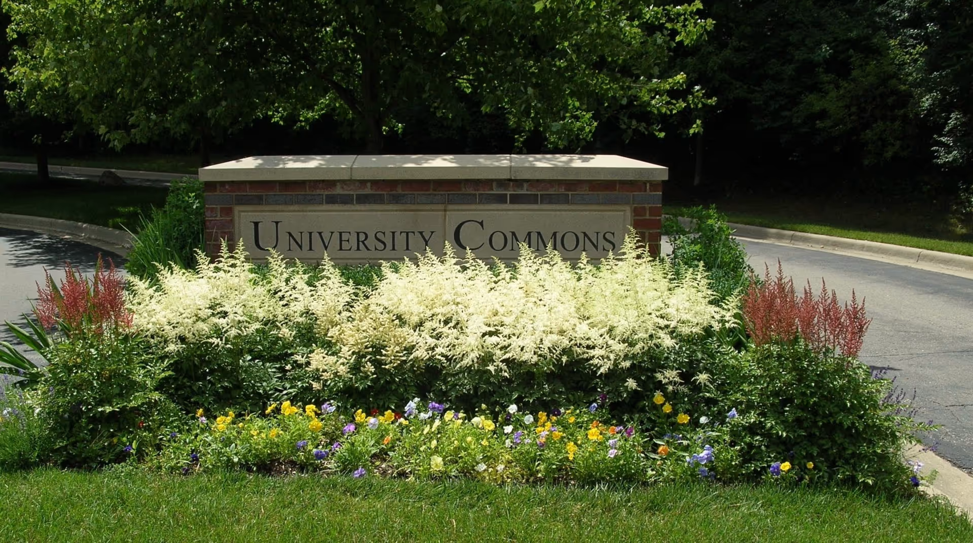 A brick and stone sign reading 'University Commons' surrounded by a landscaped garden with green shrubs, white and red flowering plants, and colorful flowers in front. Trees and a paved road are visible in the background.