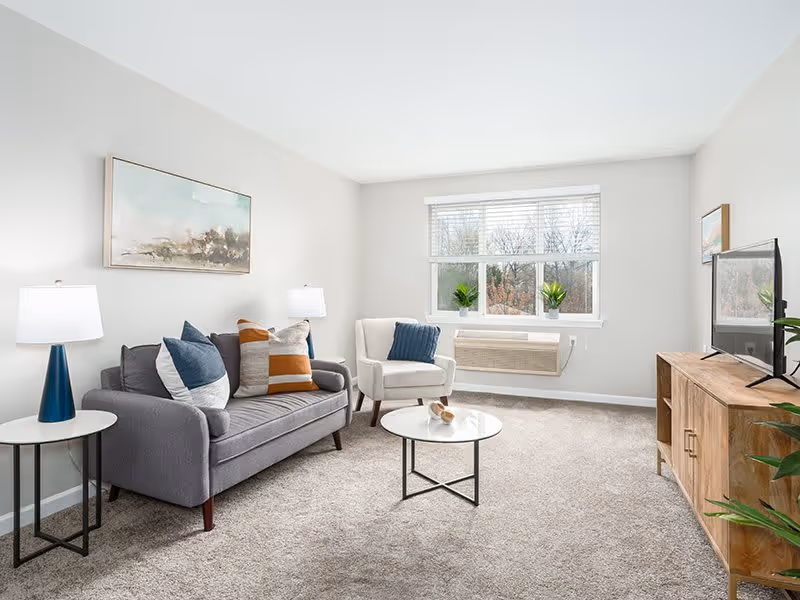 A bright and clean living room with a gray sofa adorned with multiple cushions, a white armchair, a round glass coffee table, two side tables with lamps, a wooden TV stand with a flat-screen television, and a window with white blinds letting in natural light. There are two small potted plants on the window sill and a piece of abstract artwork hanging on the wall above the sofa.