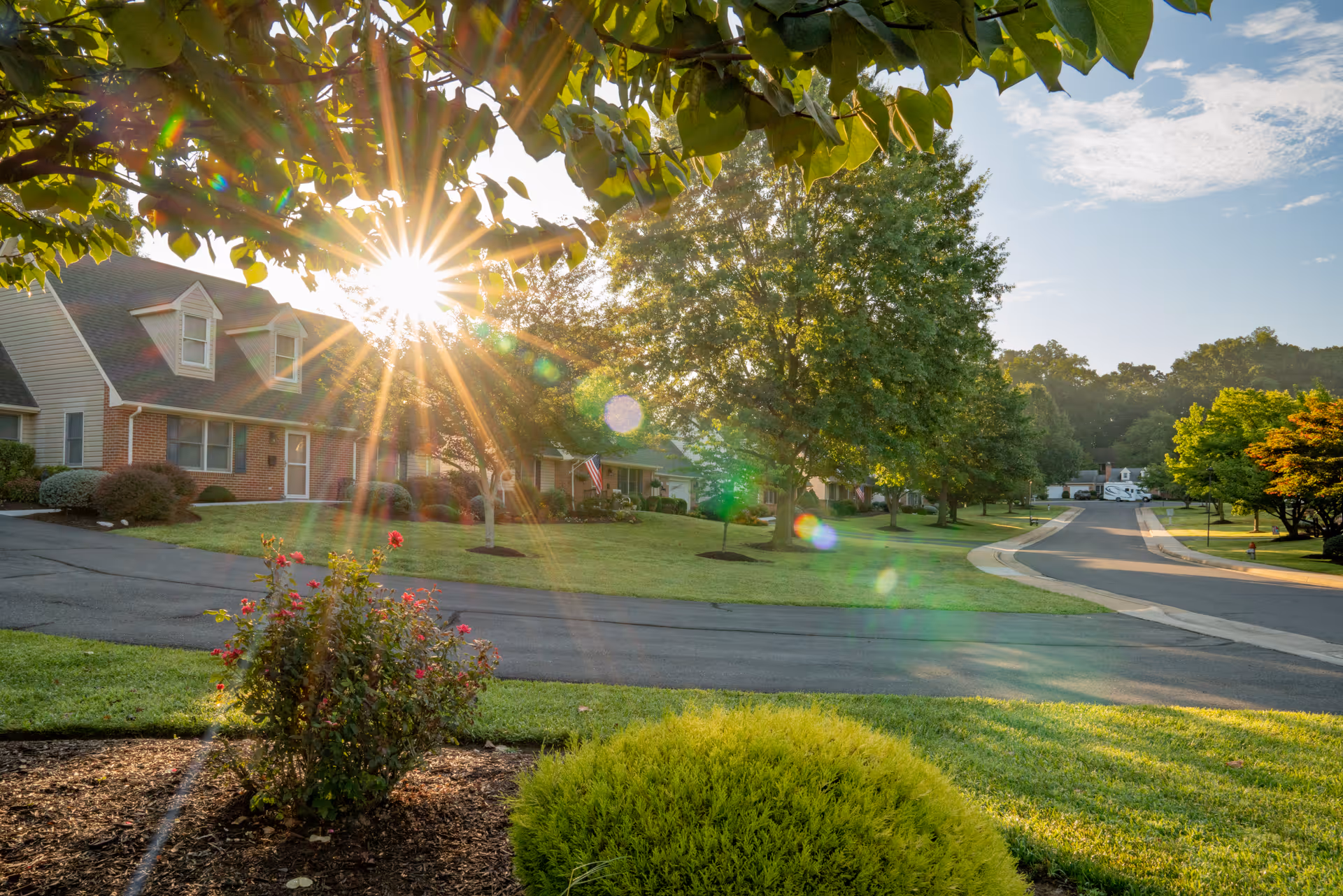 Sunlit suburban retirement community street with single-story brick houses, manicured lawns, trees and a flowering shrub in the foreground.