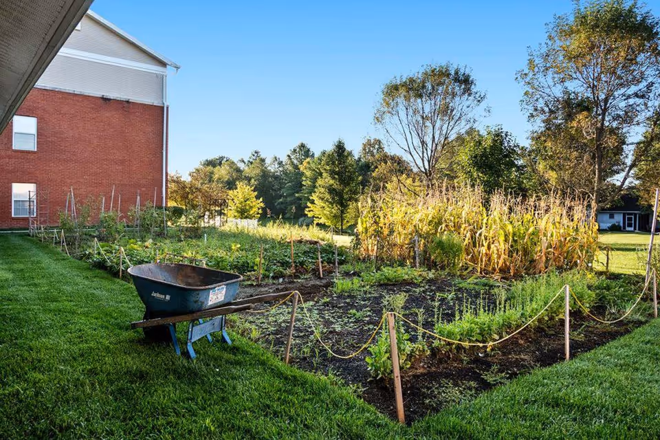 A garden area next to a red brick building with various plants and crops growing in neat rows, including corn stalks. A wheelbarrow is placed on the grass near the garden beds. Trees and a clear blue sky are visible in the background.