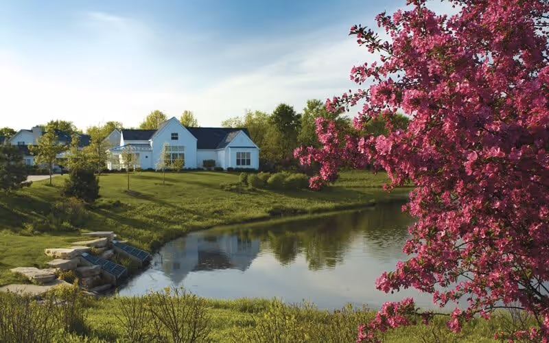 A serene outdoor scene featuring a calm pond surrounded by green grass and trees, with a white building in the background and a vibrant pink flowering tree in the foreground on the right side.