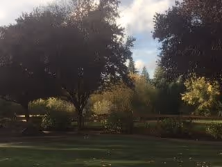 A serene outdoor garden area with large leafy trees, green grass, and various shrubs under a partly cloudy sky.