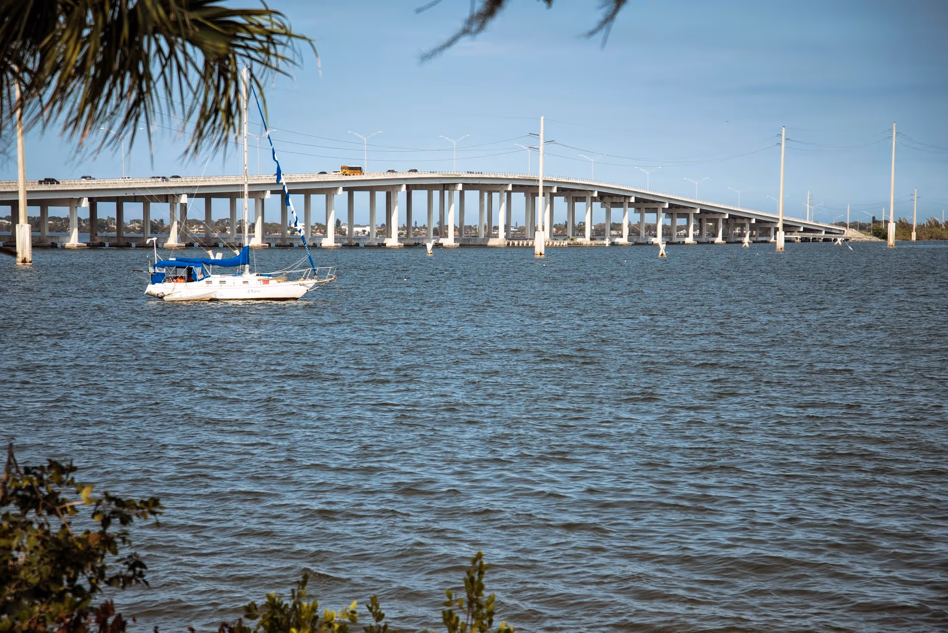 A sailboat with a blue cover floating on a body of water with a large bridge in the background under a clear blue sky. Some palm tree leaves and other foliage are visible in the foreground.