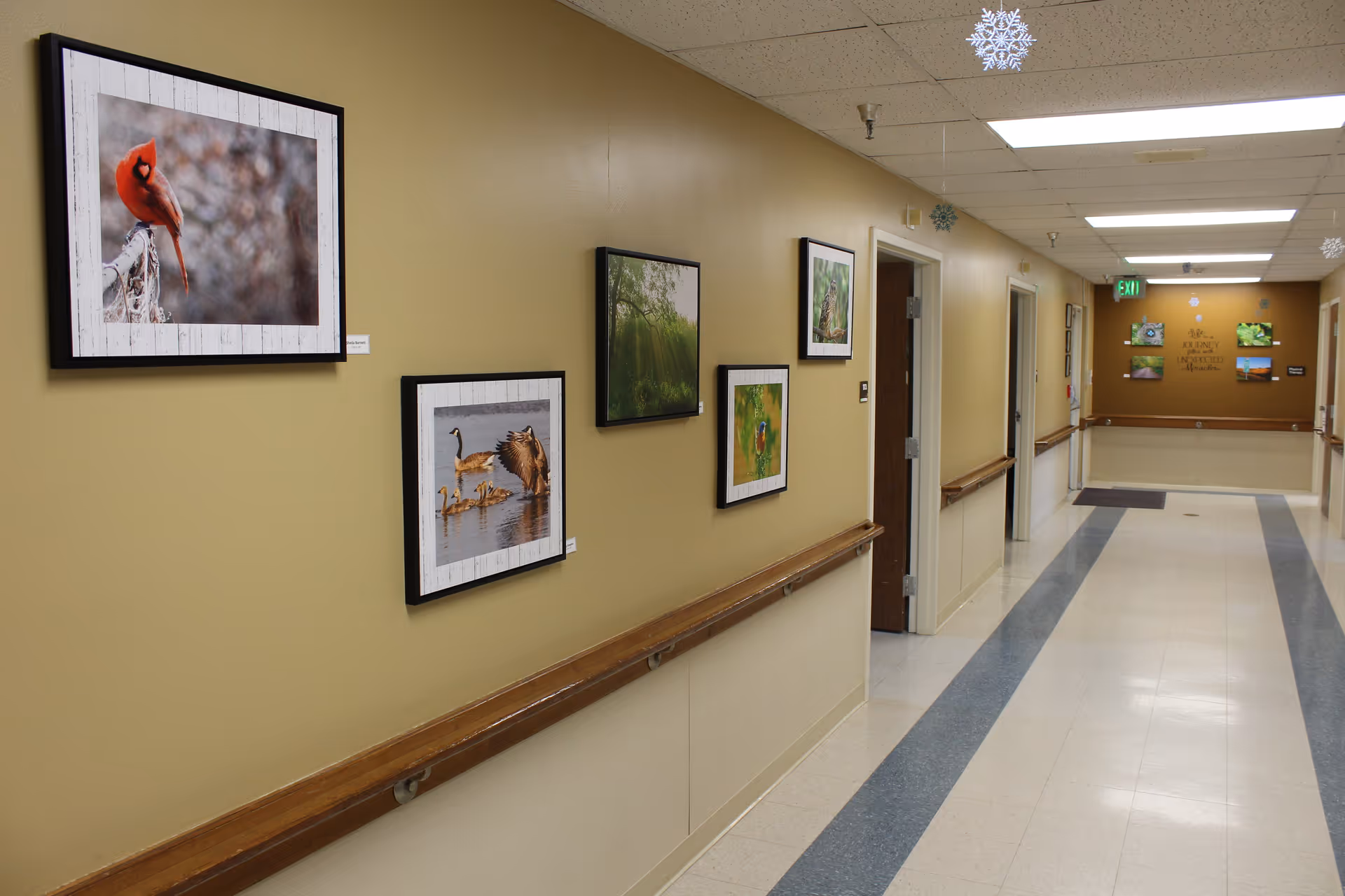 A well-lit hallway in a senior living facility with beige walls and a handrail along the right side. Several framed nature photographs featuring birds and wildlife are hung on the left wall. The floor has a light-colored tile with a blue stripe pattern. At the end of the hallway, there is a wall with more pictures and a sign that reads 'The Elements of Nature.'