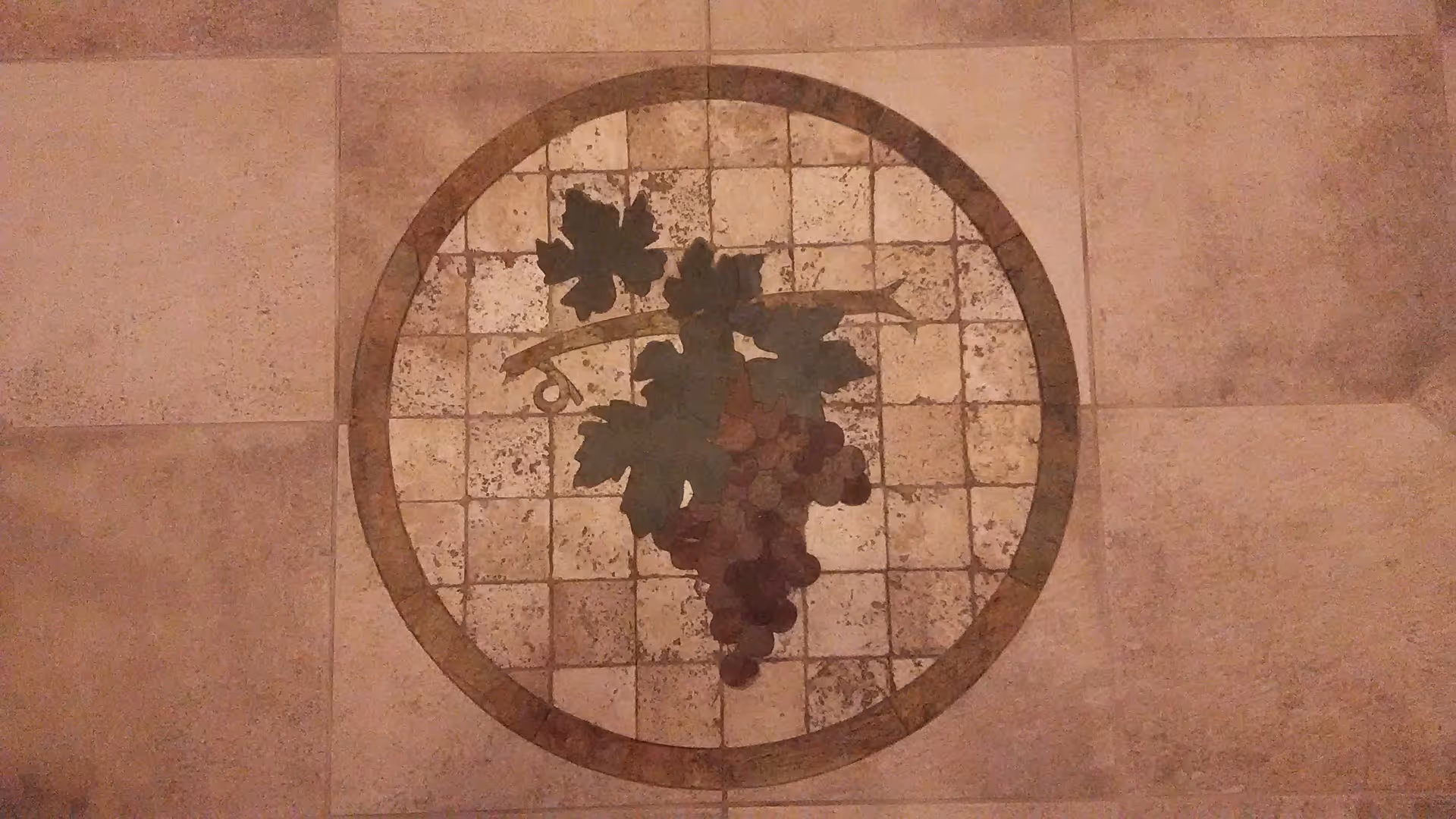 Decorative floor tile featuring a circular design with a cluster of grapes and grape leaves in the center, surrounded by a border of square tiles in earthy tones.