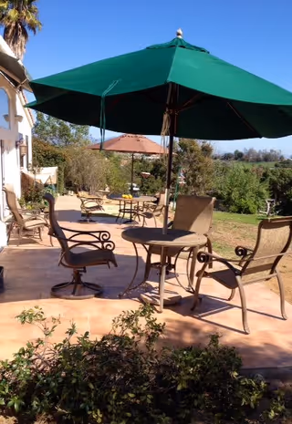 Outdoor patio area with several metal chairs and round tables shaded by large green and brown umbrellas, surrounded by greenery and trees under a clear blue sky.