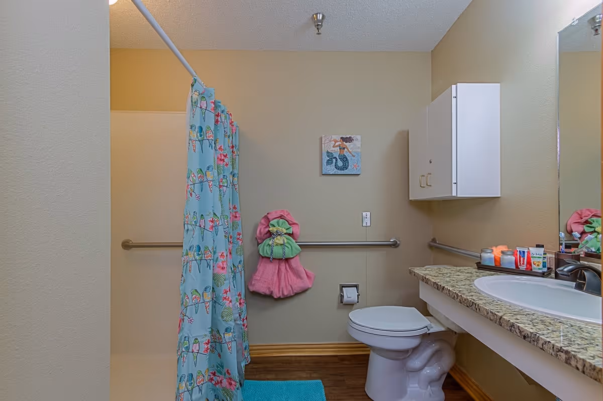 Bathroom with a toilet, a sink with a granite countertop, a wall-mounted cabinet, and a shower with a blue curtain featuring colorful birds. There are grab bars on the walls, a pink and green towel hanging, a small picture of a mermaid on the wall, and various toiletries on the countertop.