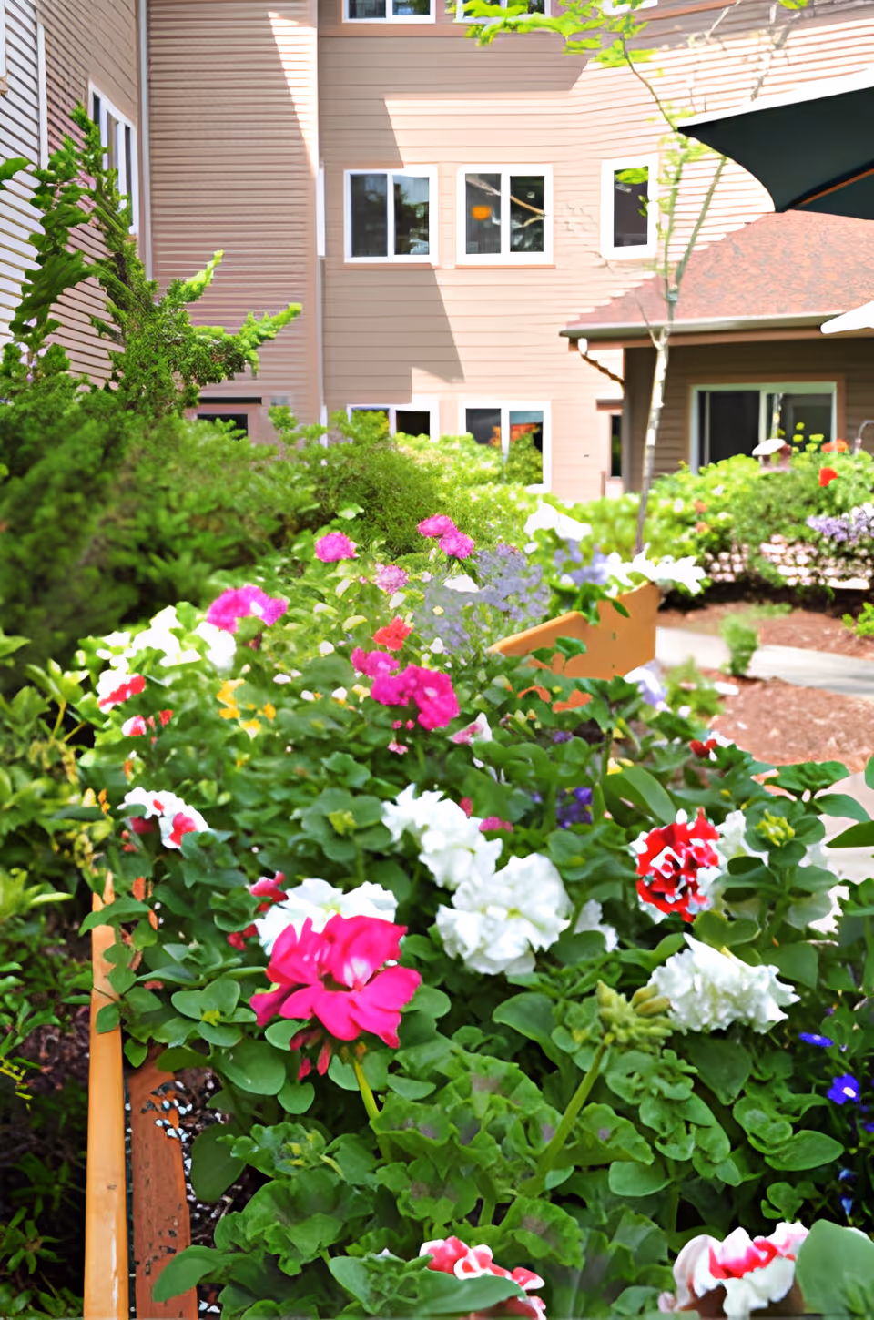 Photo 6 of Vineyard Park of Port Orchard