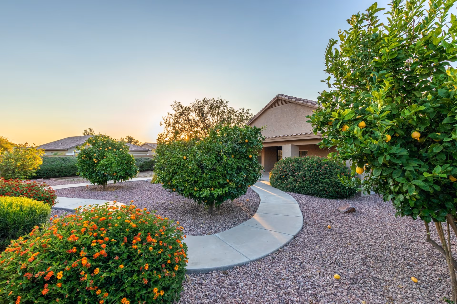 A landscaped outdoor area at Villa Hermosa Assisted Living Home featuring a curved concrete walkway surrounded by gravel, green bushes, and fruit-bearing trees under a clear sky at sunset.
