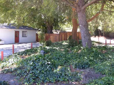 Exterior view of Hannam Homes Elderly Care featuring trees, shrubs, and a small building.