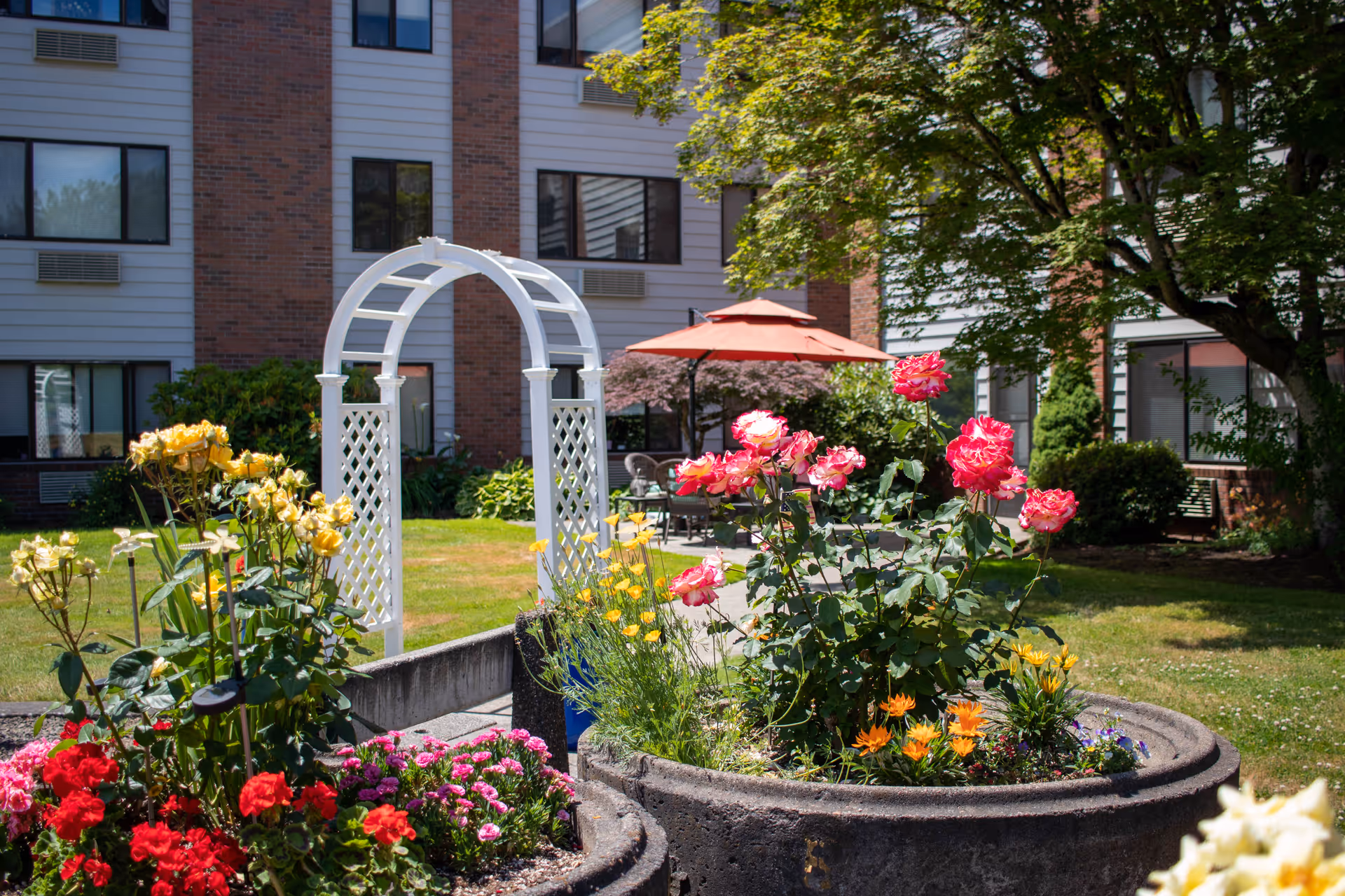A vibrant garden area with colorful flowers including red, yellow, pink, and orange blooms in raised concrete planters. A white wooden archway is visible in the background, along with a patio area featuring a table and chairs under a red umbrella. The garden is surrounded by a multi-story building with brick and siding exterior, and there are trees providing shade.