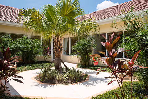 A sunny courtyard garden with a central palm tree surrounded by various tropical plants and shrubs, enclosed by a building with beige walls and red-tiled roof under a blue sky with some clouds.