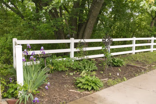 A garden area with various green plants and purple flowers next to a white wooden fence, with large trees and dense greenery in the background, and a concrete pathway on the right side.