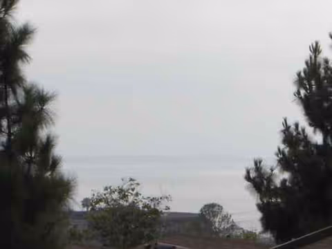 Trees frame a distant ocean view beyond rooftops.