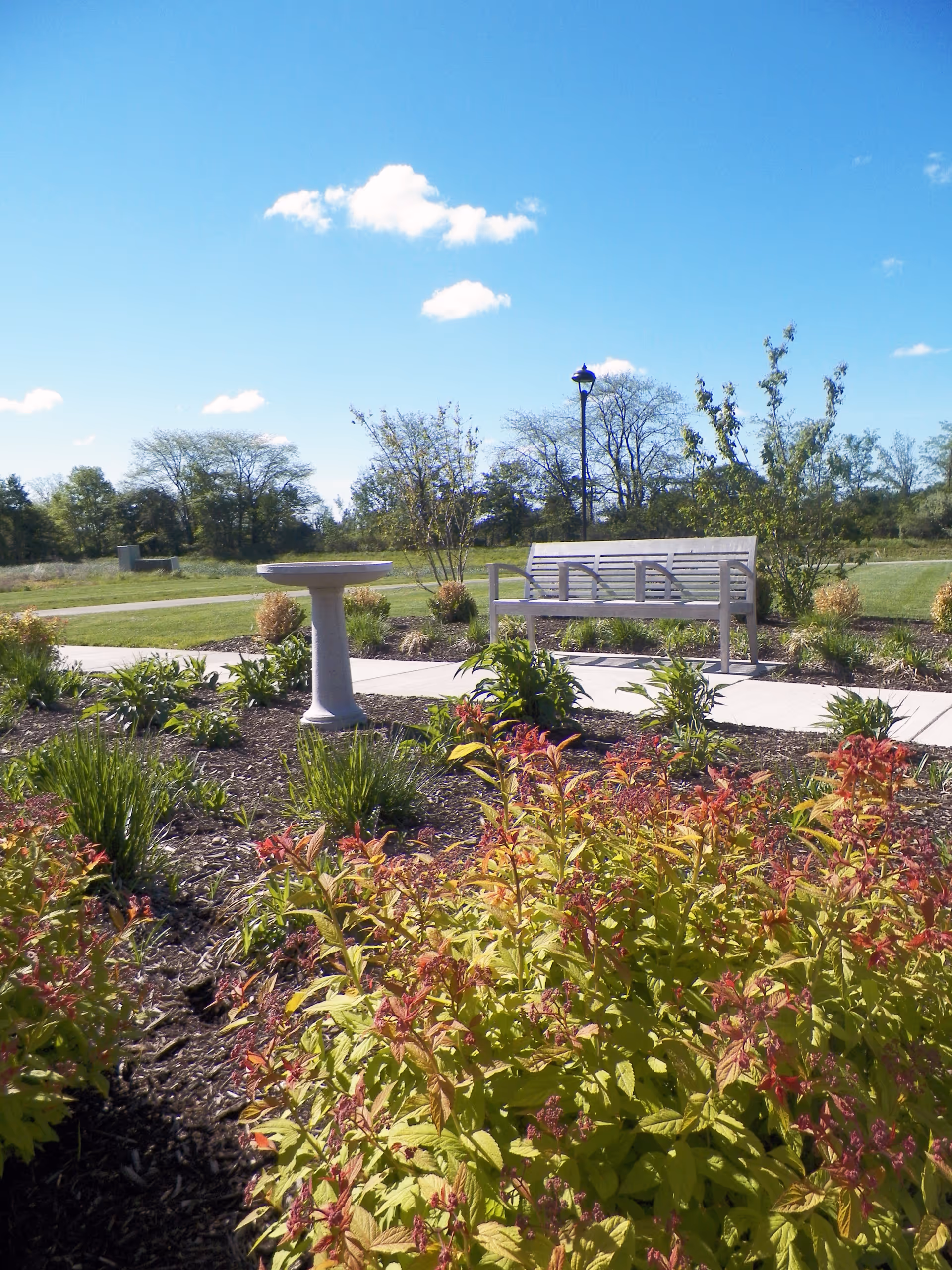 Outdoor garden with a bench and birdbath beside a paved path under a blue sky