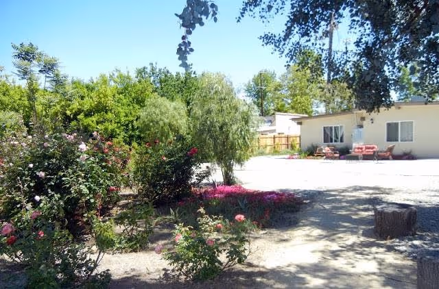 Sunlit garden courtyard with flowering shrubs and groundcover in front of a single-story building with patio chairs.