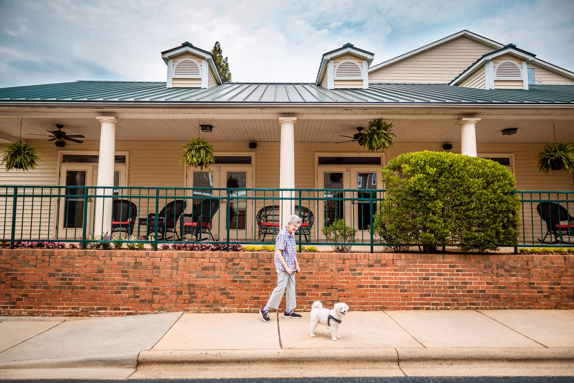 An elderly woman walking a small white dog on a leash along a sidewalk in front of a building with a green metal roof, white columns, hanging plants, and a brick retaining wall. The building has a porch with black wicker chairs and glass doors.