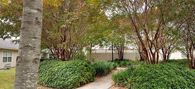 Landscaped courtyard path lined with shrubs and trees between single-story buildings.