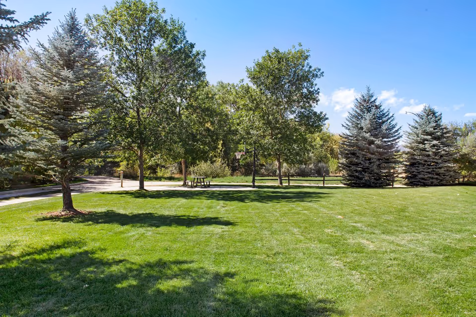 A sunny outdoor area with a well-maintained green lawn, several trees including pine and deciduous trees, a picnic table, and a basketball hoop. The sky is clear and blue.