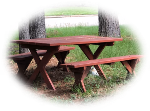 A red wooden picnic table with two matching benches on grass near several large tree trunks, with a road visible in the background.