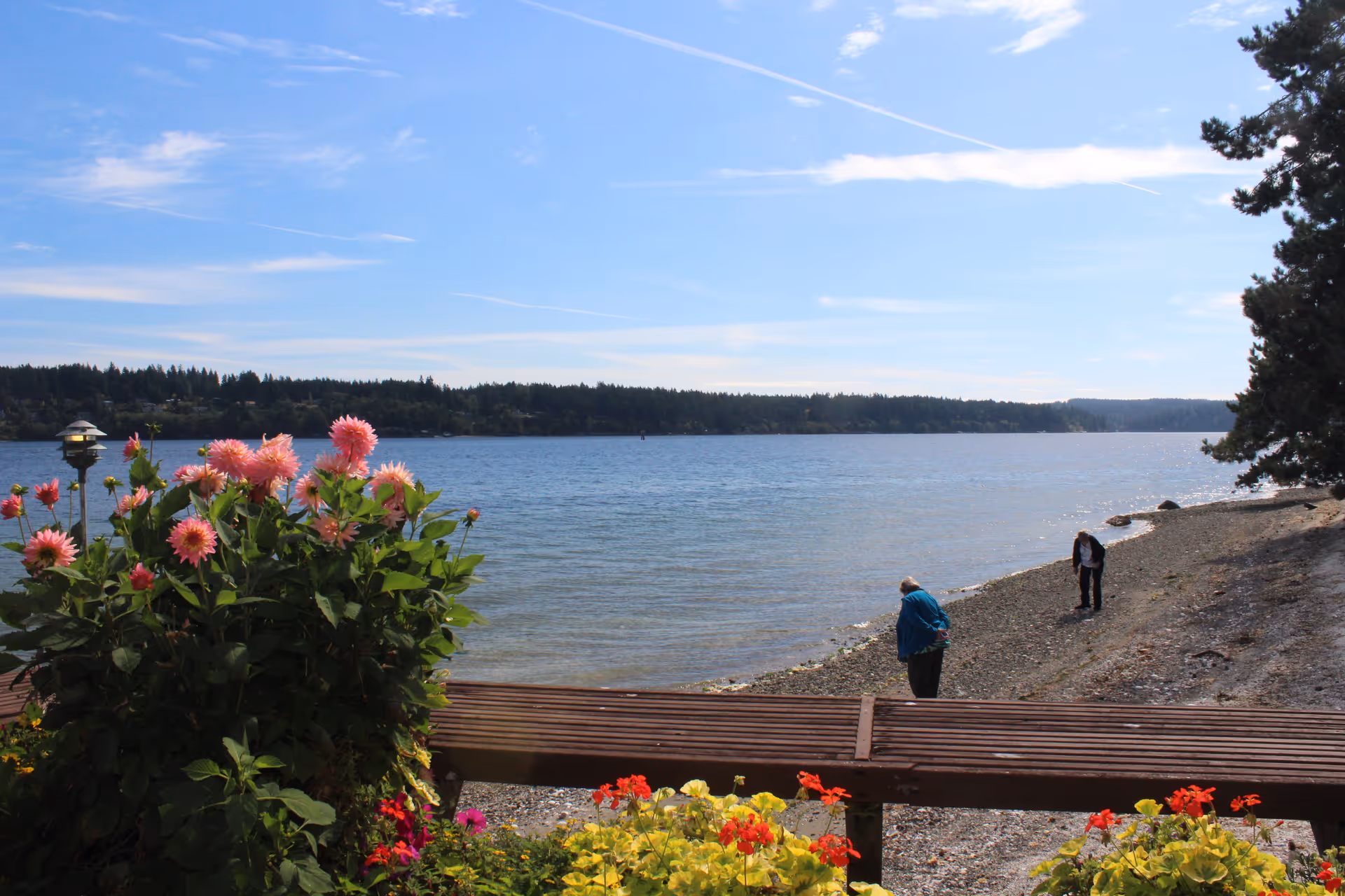 A scenic outdoor view of a lakeside or seaside area with a clear blue sky. In the foreground, there are colorful flowers and a wooden railing. Two people are walking along the rocky shore, and there are trees and forested land visible across the water.
