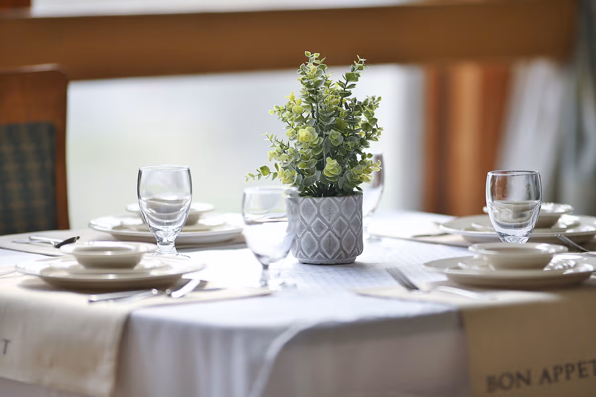 A dining table set with plates, glassware and a small potted plant centerpiece.