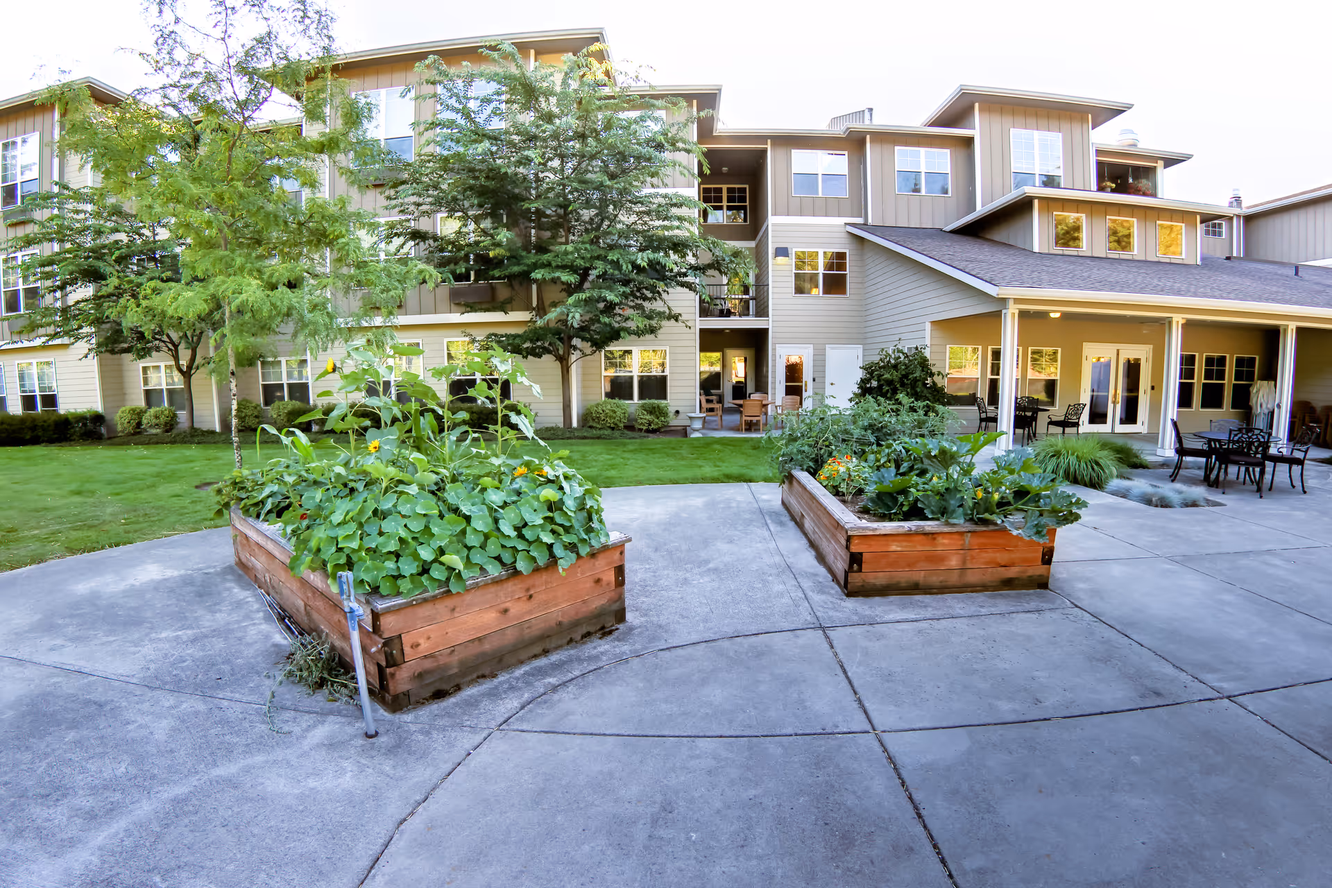 Outdoor courtyard area of a senior living facility with raised garden beds filled with plants and flowers, surrounded by a concrete patio. The building in the background has multiple windows and a covered patio area with tables and chairs.