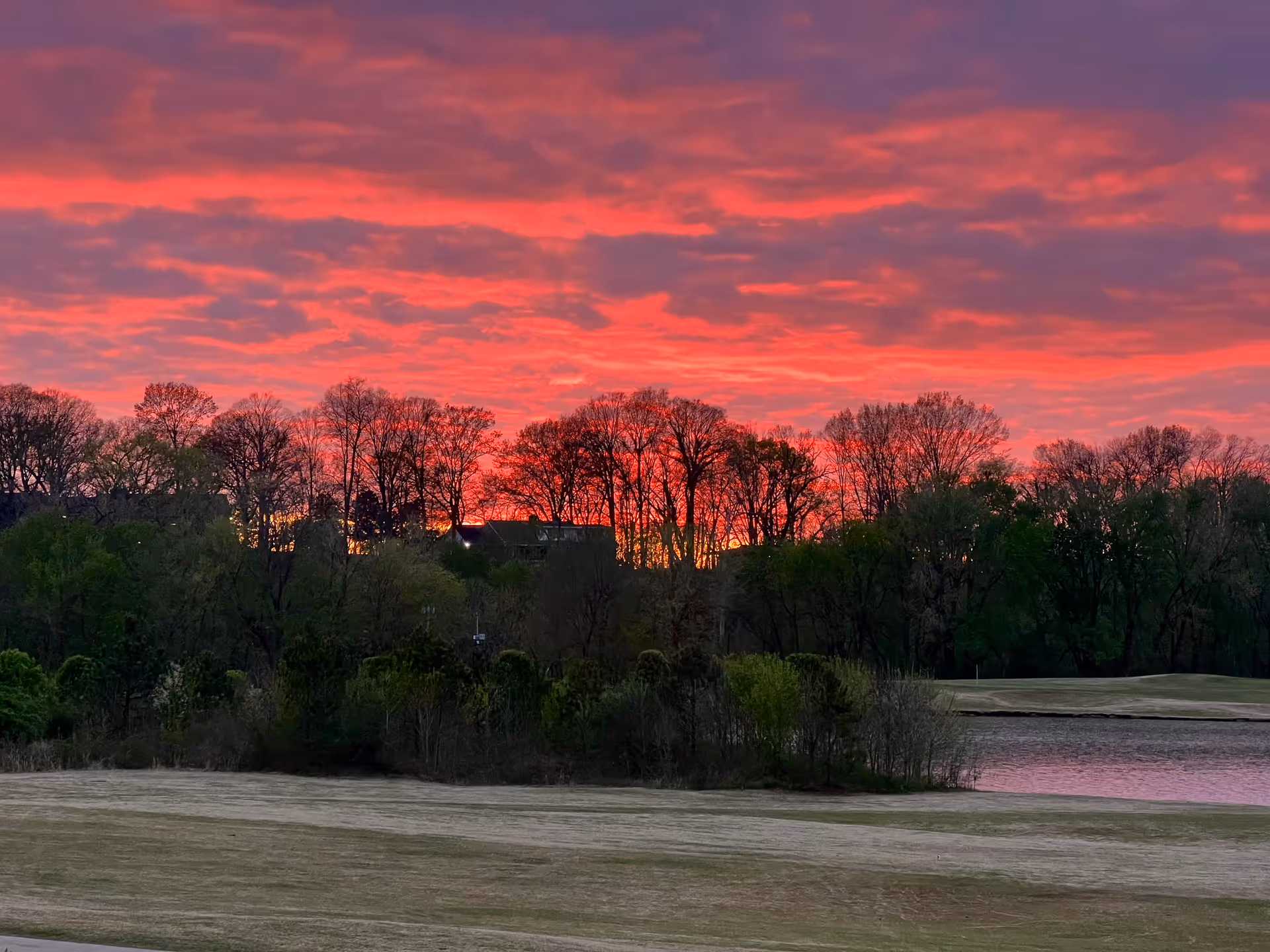 Vibrant red and pink sunset behind a treeline with a grassy foreground and a small lake.