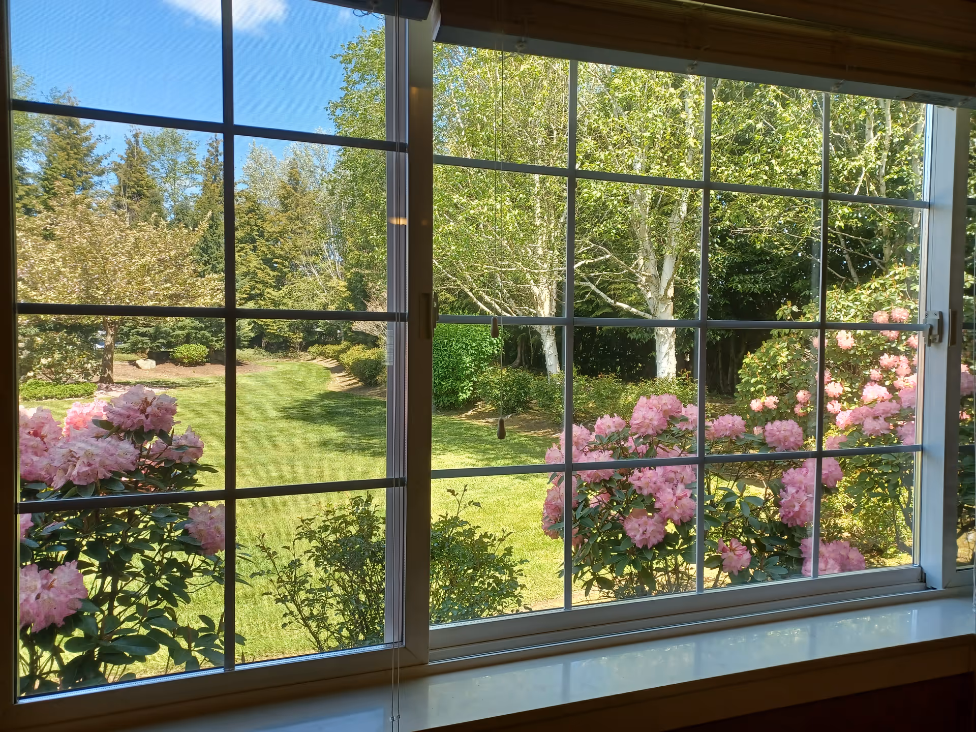 View through a large window with white grid frames showing a lush green garden with blooming pink flowers, trees, and a clear blue sky.