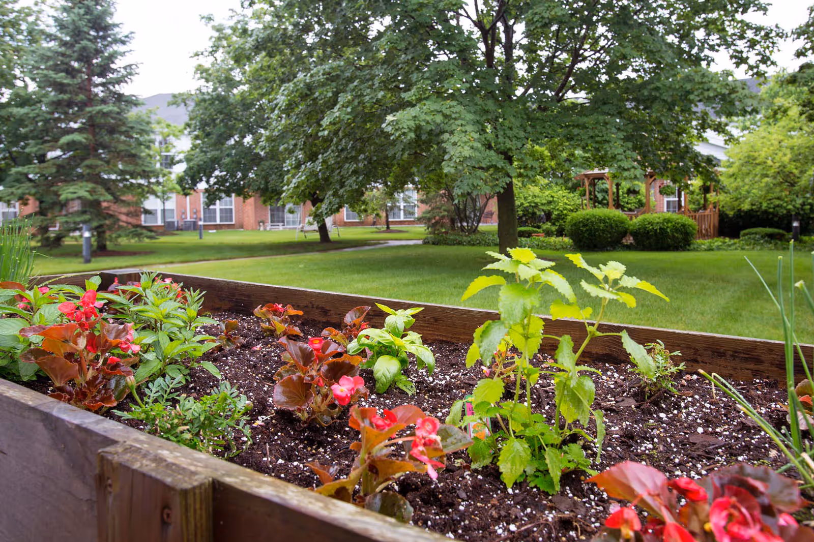 Photo 10 of Independence Village Of Midland