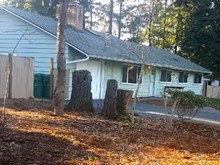 Single-story light-green residential building with a driveway, tree stumps, and trees in the foreground.