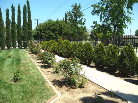 A manicured outdoor garden with a sidewalk, shrubs, and tall trees beside a fence.