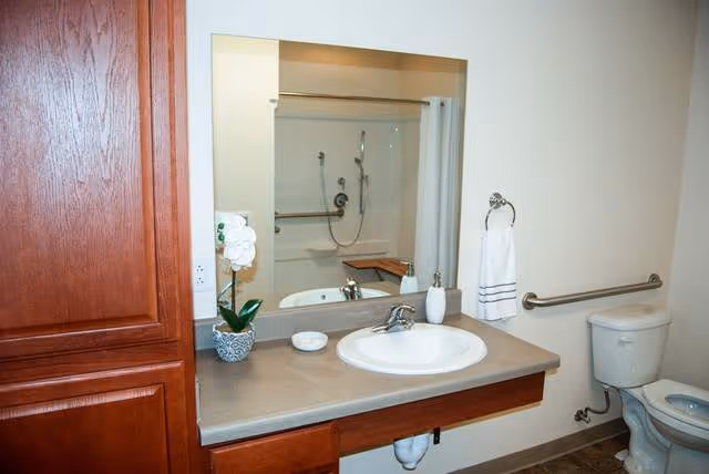 A clean bathroom with a wooden cabinet, a countertop with a sink, a small potted orchid plant, a soap dispenser, a towel ring with a white towel, a toilet with a grab bar next to it, and a shower with a handheld showerhead and a shower curtain visible in the mirror reflection.