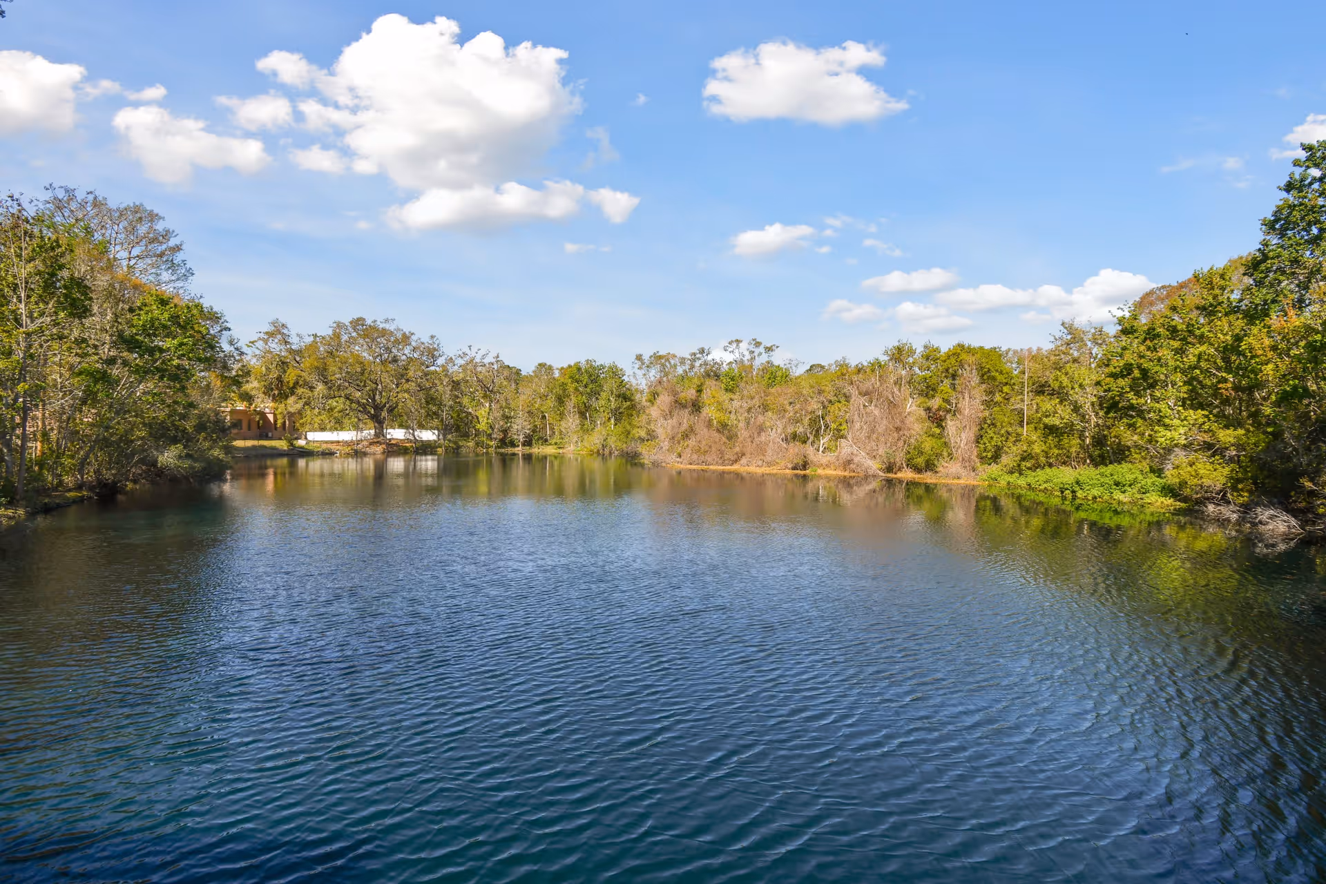 Photo 10 of The Preserve at Dunedin